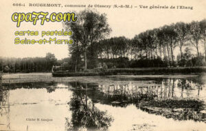 Oissery (Seine-et-Marne) - Rougemont – Vue générale de l&rsquo;Etang