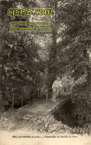 Orly Sur Morin (Seine-et-Marne) - Passerelle du Moulin du Pont