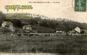 Orly Sur Morin (Seine-et-Marne) - Les Bruts