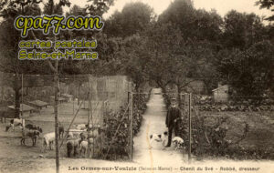 Les Ormes Sur Voulzie (Seine-et-Marne) - Chenil du Své – Robbé, dresseur