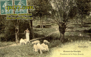 Ozouer Le Voulgis (Seine-et-Marne) - Planchette de la Pierre Blanche