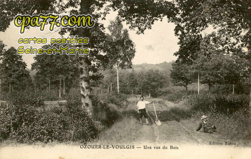 Ozouer Le Voulgis (Seine-et-Marne) - Une vue du Bois