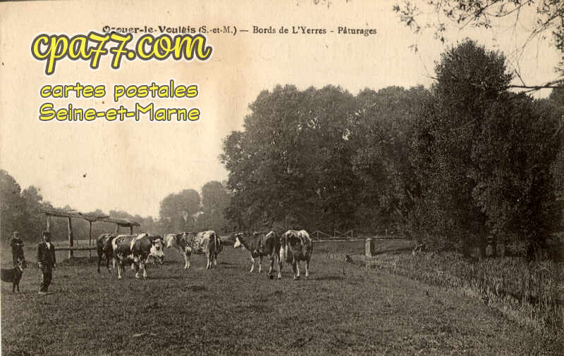 Ozouer Le Voulgis (Seine-et-Marne) - Bords de l&rsquo;Yerres – Pâturages