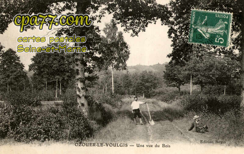 Ozouer Le Voulgis (Seine-et-Marne) - Une vue du Bois