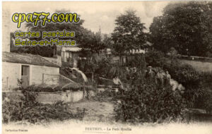 Perthes En Gâtinais (Seine-et-Marne) - Le Petit Moulin