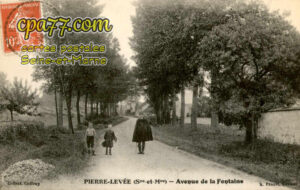 Pierre Levée (Seine-et-Marne) - Avenue de la Fontaine