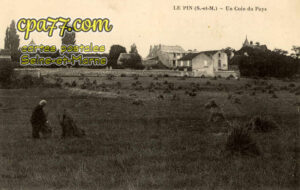 Le Pin (Seine-et-Marne) - Un Coin du Pays