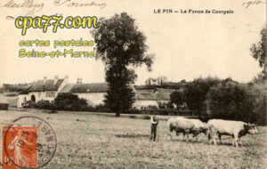 Le Pin (Seine-et-Marne) - La Ferme de Courgain