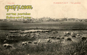 Le Plessis Placy (Seine-et-Marne) - Vue générale