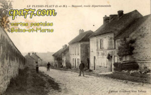 Le Plessis Placy (Seine-et-Marne) - Beauval, route départementale