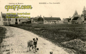 Poligny (Seine-et-Marne) - Rosiers – Vue d&rsquo;ensemble