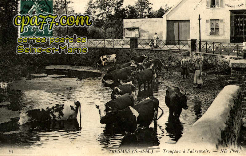 Pommeuse (Seine-et-Marne) - Tresmes – Troupeau à l&rsquo;abreuvoir