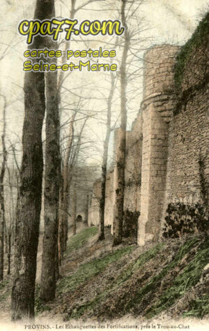 Provins (Seine-et-Marne) - Les Echauguettes des Fortifications, près le Trou-au-Chat
