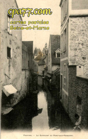 Provins (Seine-et-Marne) - Le Durteint au Pont-aux-Poissons
