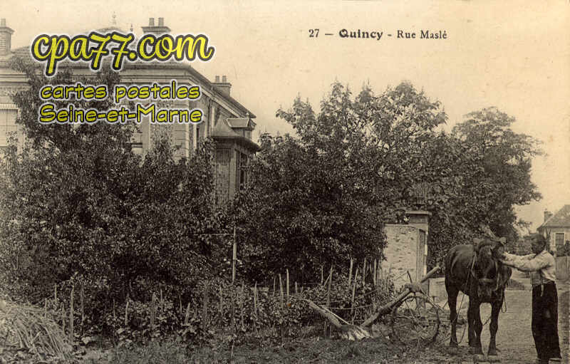 Quincy Voisins (Seine-et-Marne) - Rue Maslé