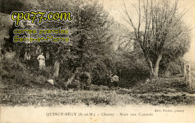 Quincy Voisins (Seine-et-Marne) - Charny – Mare aux Canards