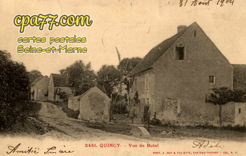 Quincy Voisins (Seine-et-Marne) - Vue de Butel