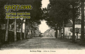 Quincy Voisins (Seine-et-Marne) - Allée du Château