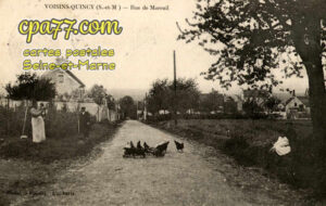 Quincy Voisins (Seine-et-Marne) - Rue de Mareuil