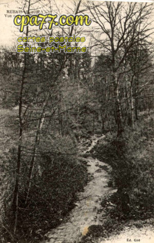 Rebais (Seine-et-Marne) - Vue sur le Resbac