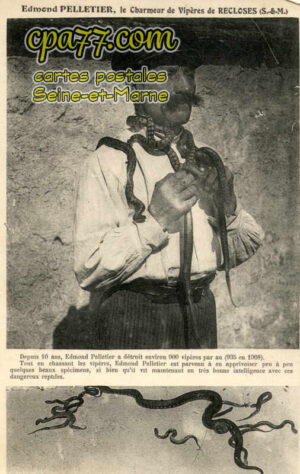 Recloses (Seine-et-Marne) - Edmond Pelletier, le charmeur de Vipères de Recloses (S.-et-M.)