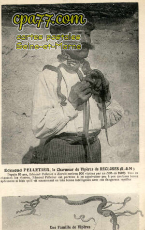 Recloses (Seine-et-Marne) - Edmond Pelletier, le charmeur de Vipères de Recloses (S.-et-M.)