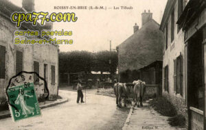 Roissy En Brie (Seine-et-Marne) - Les Tilleuls