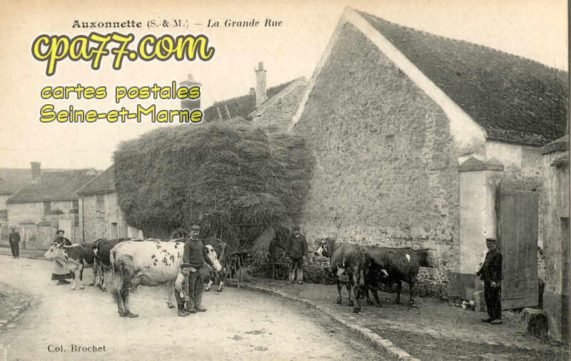 St Fargeau Ponthierry (Seine-et-Marne) - Auxonnettes – La Grande Rue