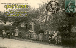 St Germain Sous Doué (Seine-et-Marne) - St-Côme et St Damien