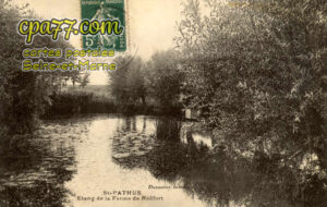 St Pathus (Seine-et-Marne) - Etang de la Ferme de Noëfort