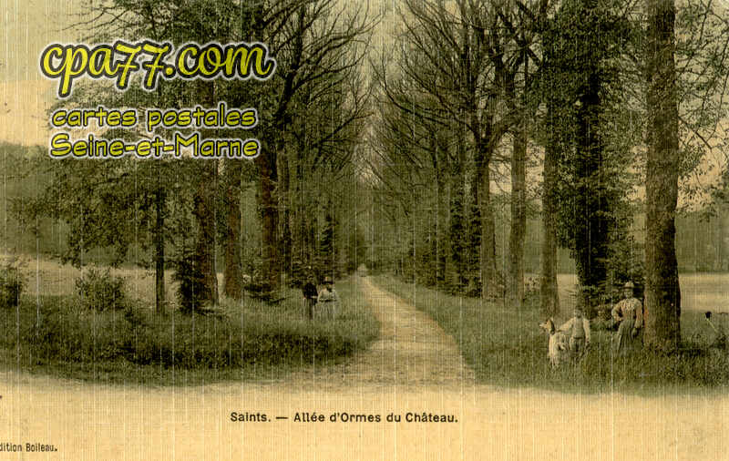 Saints (Seine-et-Marne) - Allée d&rsquo;Ormes du Château