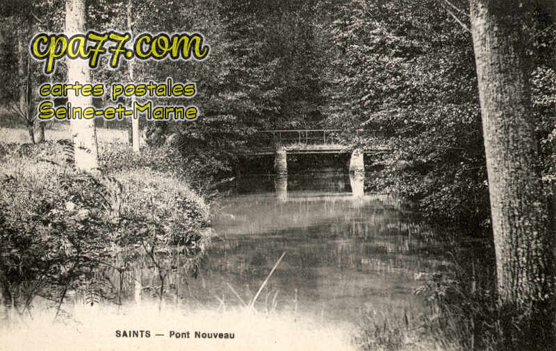 Saints (Seine-et-Marne) - Pont Nouveau