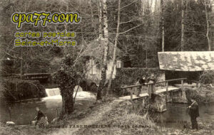 Saints (Seine-et-Marne) - Environs de Faremoutiers