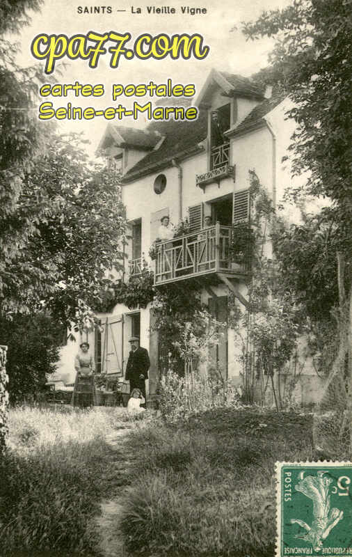 Saints (Seine-et-Marne) - La Vieille Vigne