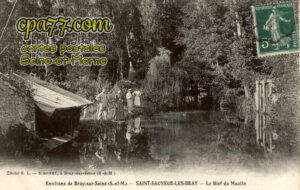 St Sauveur Lès Bray (Seine-et-Marne) - Le Bief du Moulin
