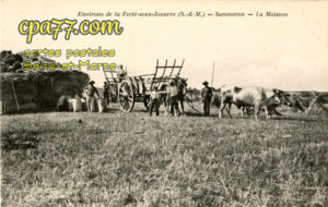 Sammeron (Seine-et-Marne) - Environs de la Ferté-sous-Jouarre – La Moisson