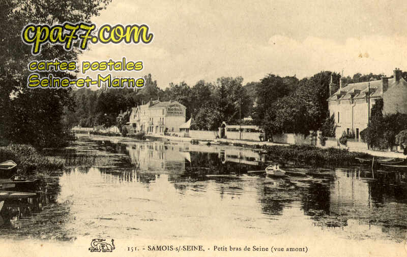 Samois Sur Seine (Seine-et-Marne) - Petit bras de Seine (vue Amont)