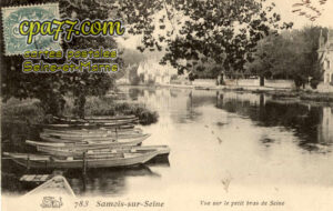 Samois Sur Seine (Seine-et-Marne) - Vue sur le petit bras de Seine