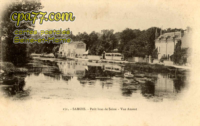 Samois Sur Seine (Seine-et-Marne) - Petit bras de Seine – Vue Amont