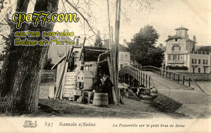 Samois Sur Seine (Seine-et-Marne) - La Passerelle sur le petit bras de Seine