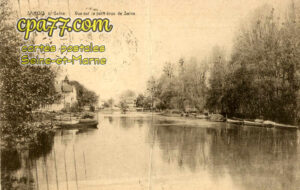 Samois Sur Seine (Seine-et-Marne) - Vue sur le petit bras de Seine (en l’état)