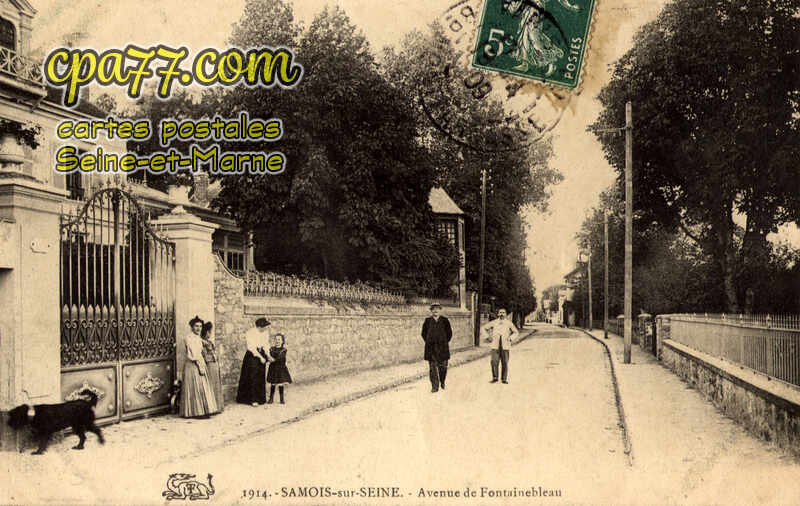 Samois Sur Seine (Seine-et-Marne) - Avenue de Fontainebleau
