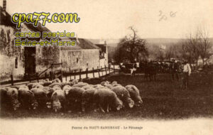 Samoreau (Seine-et-Marne) - Ferme du Haut-Samoreau – Le Pâturage