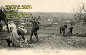 Samoreau (Seine-et-Marne) - Panorama champêtre
