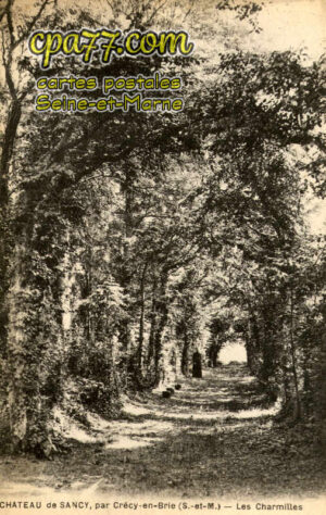 Sancy Lès Meaux (Seine-et-Marne) - Le Château – Les Charmilles