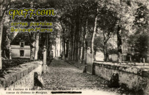 Sancy Lès Provins (Seine-et-Marne) - Cerneux – Avenue du Château de Montglas