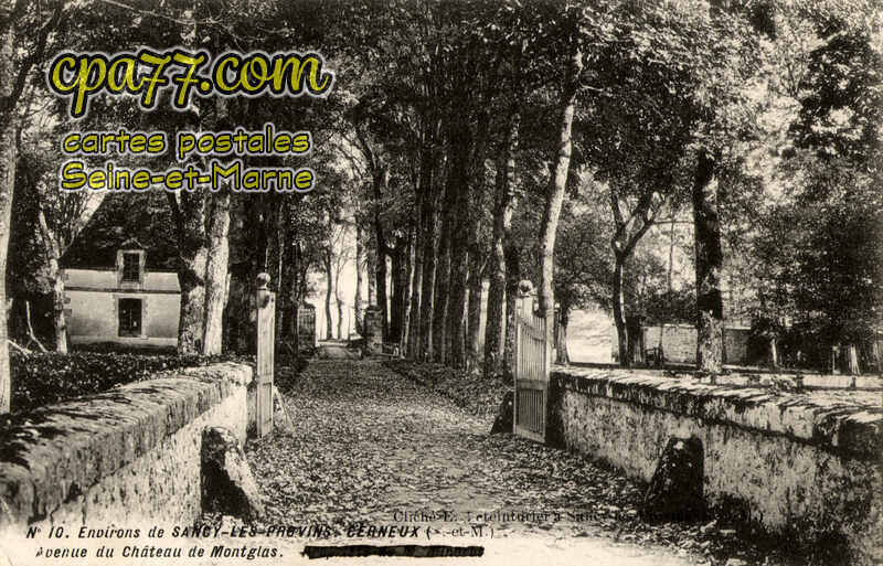 Sancy Lès Provins (Seine-et-Marne) - Cerneux – Avenue du Château de Montglas