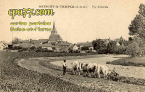Savigny Le Temple (Seine-et-Marne) - Vue générale