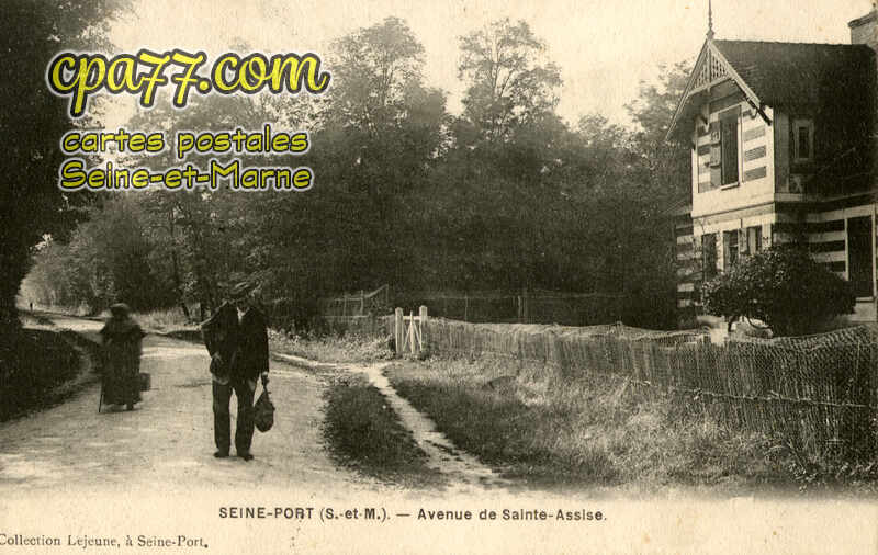 Seine Port (Seine-et-Marne) - Avenue de Sainte-Assise