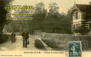Seine Port (Seine-et-Marne) - Avenue de Sainte-Assise